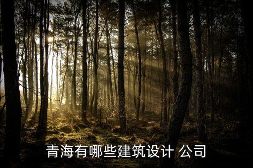 青海有哪些建筑設計 公司