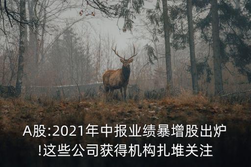 A股:2021年中報(bào)業(yè)績(jī)暴增股出爐!這些公司獲得機(jī)構(gòu)扎堆關(guān)注