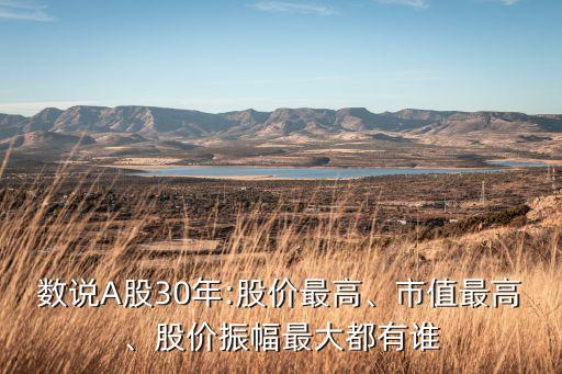 數(shù)說A股30年:股價(jià)最高、市值最高、股價(jià)振幅最大都有誰