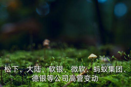 松下、大陸、軟銀、微軟、螞蟻集團(tuán)、德銀等公司高管變動