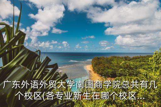 廣東外語外貿大學南國商學院總共有幾個校區(qū)(各專業(yè)新生在哪個校區(qū)...