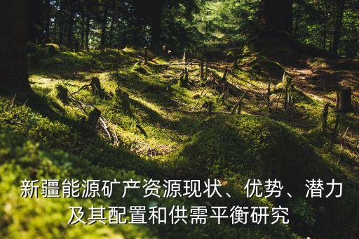  新疆能源礦產(chǎn)資源現(xiàn)狀、優(yōu)勢、潛力及其配置和供需平衡研究