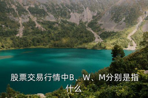  股票交易行情中B、W、M分別是指什么