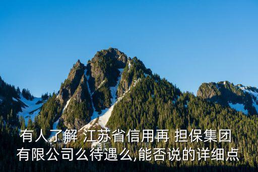 有人了解 江蘇省信用再 擔(dān)保集團 有限公司么待遇么,能否說的詳細點