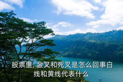 股票出現(xiàn)金叉是什么意思,金叉死叉看哪兩根線(xiàn)