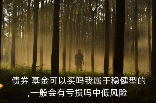  債券 基金可以買嗎我屬于穩(wěn)健型的,一般會有虧損嗎中低風(fēng)險(xiǎn)