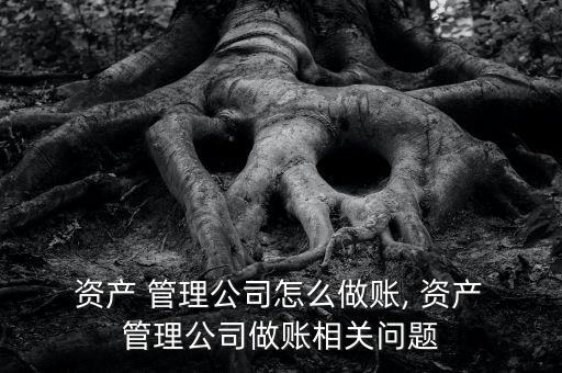  資產(chǎn) 管理公司怎么做賬, 資產(chǎn) 管理公司做賬相關問題