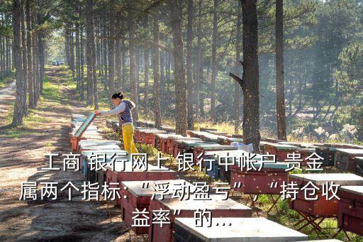 工商 銀行網(wǎng)上 銀行中帳戶 貴金屬兩個(gè)指標(biāo):“浮動(dòng)盈虧”,“持倉收益率”的...
