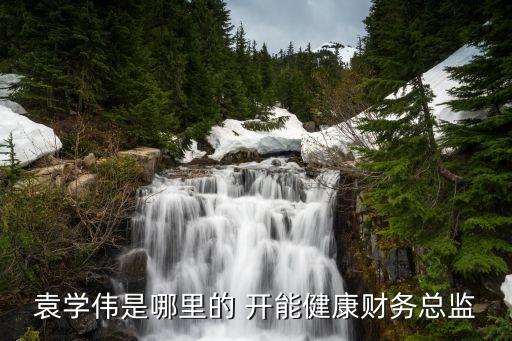 袁學偉是哪里的 開能健康財務(wù)總監(jiān)