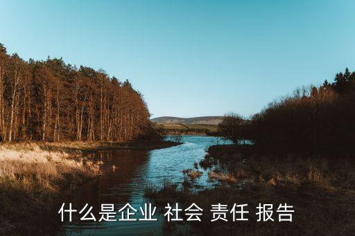 上市公司社會責任報告是必須披露的嗎,和訊網(wǎng)上市公司社會責任報告