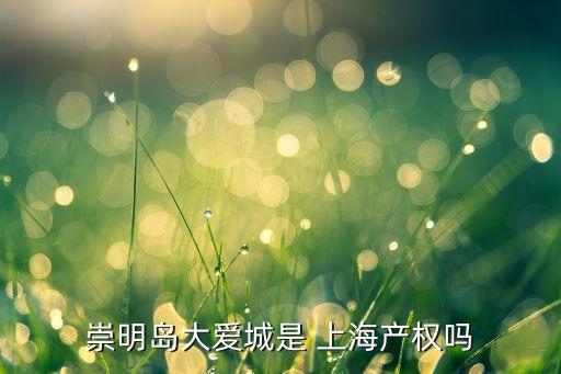 崇明島大愛城是 上海產(chǎn)權嗎
