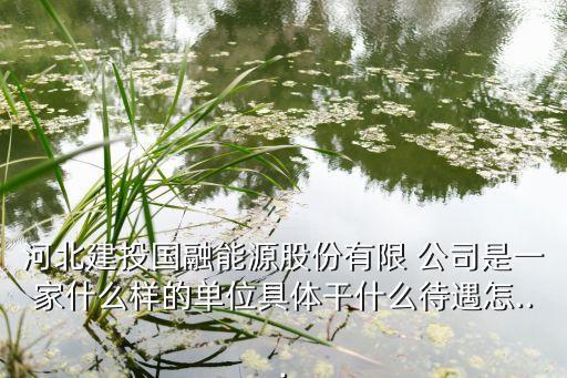 河北建投國(guó)融能源股份有限 公司是一家什么樣的單位具體干什么待遇怎...