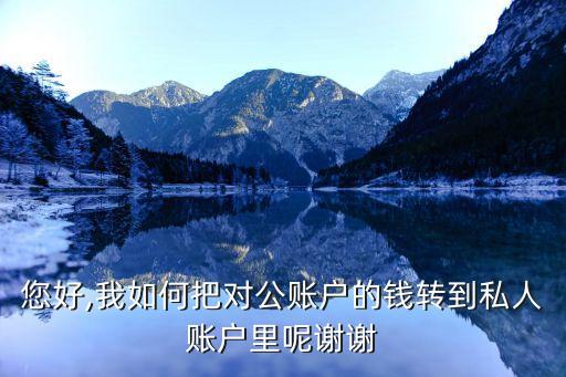 您好,我如何把對(duì)公賬戶的錢轉(zhuǎn)到私人賬戶里呢謝謝