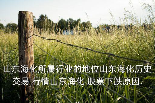 山東海化所屬行業(yè)的地位山東?；瘹v史交易 行情山東?；?股票下跌原因...