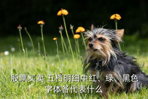  股票買賣 五檔明細(xì)中紅、綠、黑色字體各代表什么