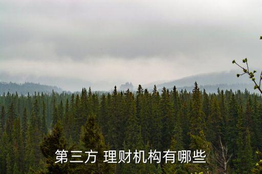 專業(yè)理財投資公司,最安全的p2p理財投資公司