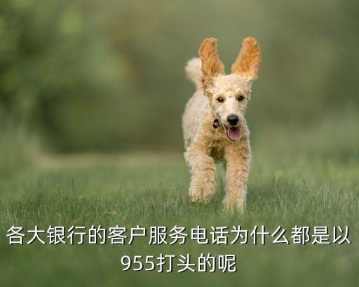 各大銀行的客戶服務電話為什么都是以955打頭的呢