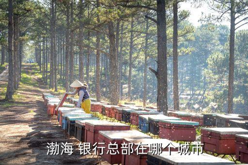 太原渤海銀行地址,渤海銀行在太原的網(wǎng)點(diǎn)有幾個