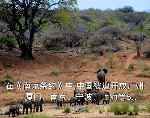 在《南京條約》中,中國被迫開放廣州、 廈門、南京、寧波、上海等5...