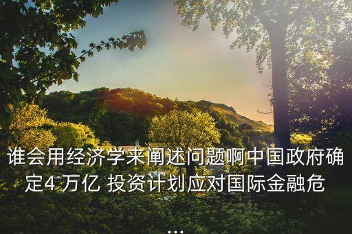 誰(shuí)會(huì)用經(jīng)濟(jì)學(xué)來闡述問題啊中國(guó)政府確定4 萬(wàn)億 投資計(jì)劃應(yīng)對(duì)國(guó)際金融危...