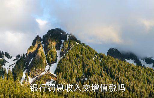 營(yíng)改增后銀行手續(xù)費(fèi),銀行營(yíng)改增什么時(shí)候開(kāi)始