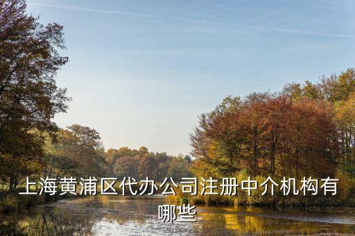  上海黃浦區(qū)代辦公司注冊中介機構有哪些