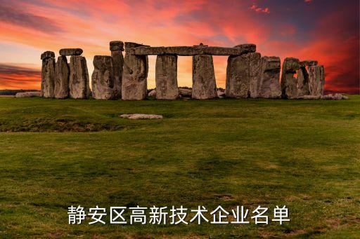 上海金安國紀科技股份有限公司,金安國紀科技股份有限公司怎么樣
