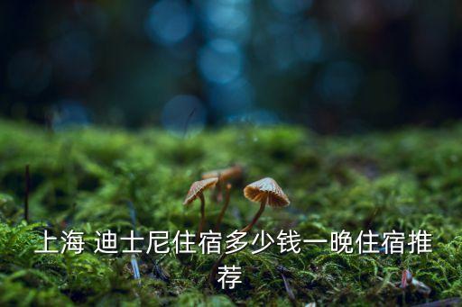 上海迪士尼樂園附近房?jī)r(jià)
