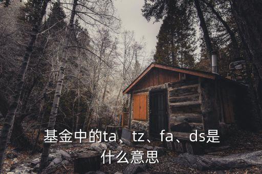  基金中的ta、tz、fa、ds是什么意思