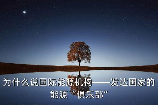 為什么說(shuō)國(guó)際能源機(jī)構(gòu)——發(fā)達(dá)國(guó)家的能源“俱樂部”