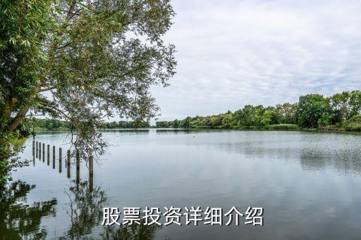 上?？萍脊善背杀?上海本地科技股票一覽表