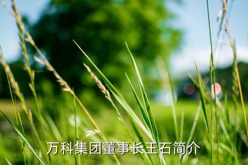 萬科集團(tuán)董事長(zhǎng)王石簡(jiǎn)介