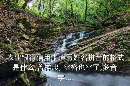  農業(yè)銀行信用卡填寫姓名拼音的格式是什么,曾祥忠, 空格也空了,多音字...