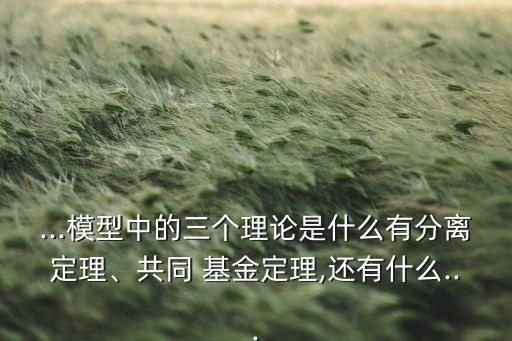 ...模型中的三個理論是什么有分離定理、共同 基金定理,還有什么...
