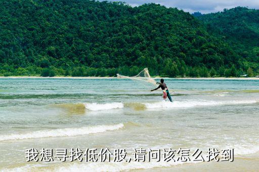 我想尋找低價(jià)股,請(qǐng)問(wèn)該怎么找到