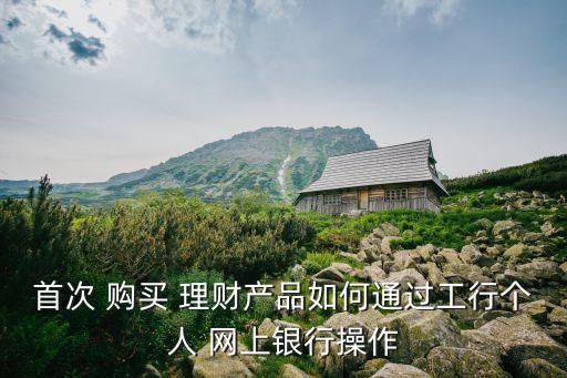 工商銀行網(wǎng)上理財(cái)產(chǎn)品購買流程