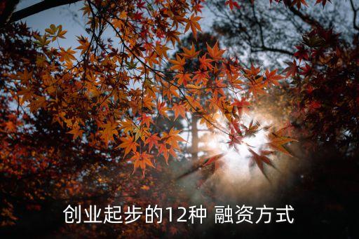 中小企業(yè)融資擔?；?邵陽市中小企業(yè)融資擔保有限責任公司