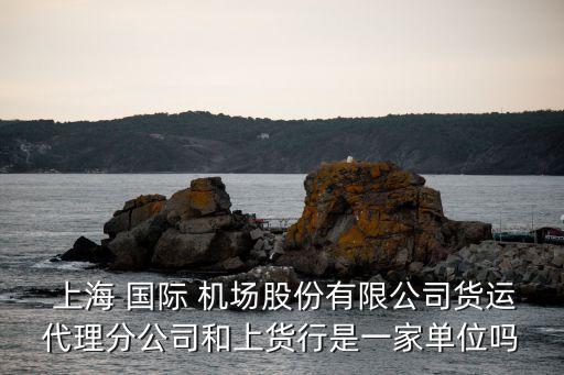  上海 國際 機(jī)場股份有限公司貨運代理分公司和上貨行是一家單位嗎