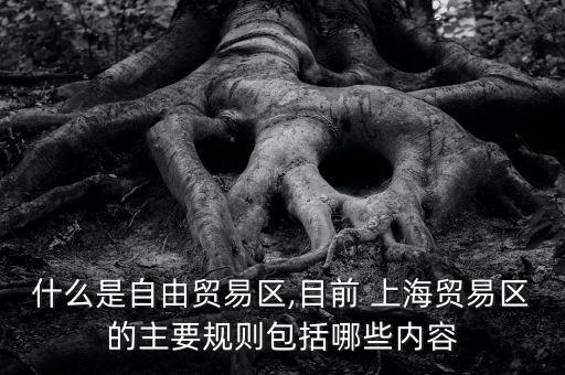 什么是自由貿易區(qū),目前 上海貿易區(qū)的主要規(guī)則包括哪些內容