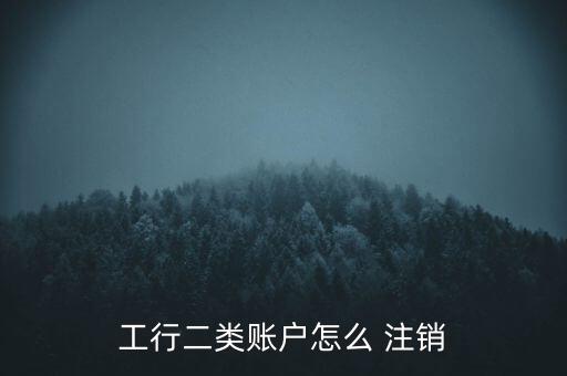 工行二類(lèi)賬戶怎么 注銷(xiāo)