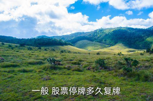 什么時(shí)間就可以下單復(fù)盤(pán)股票