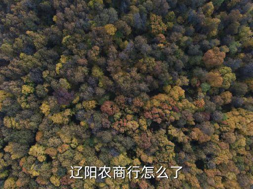 遼陽農商行怎么了