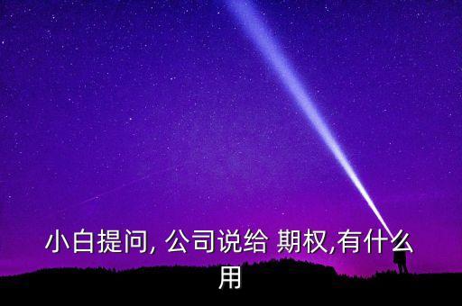 spv公司收到轉(zhuǎn)入的期權如何做帳