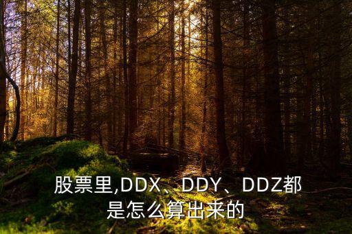  股票里,DDX、DDY、DDZ都是怎么算出來的