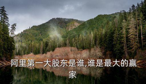  阿里第一大股東是誰(shuí),誰(shuí)是最大的贏(yíng)家