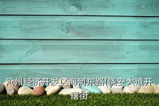 滄州經(jīng)濟開發(fā)區(qū)海河東路(饒安大道開曙街