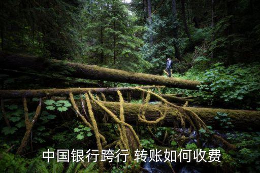  中國銀行跨行 轉(zhuǎn)賬如何收費
