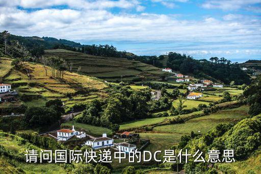 請(qǐng)問(wèn)國(guó)際快遞中的DC是什么意思