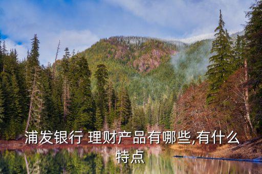  浦發(fā)銀行 理財產(chǎn)品有哪些,有什么特點
