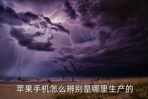  蘋(píng)果手機(jī)怎么辨別是哪里生產(chǎn)的